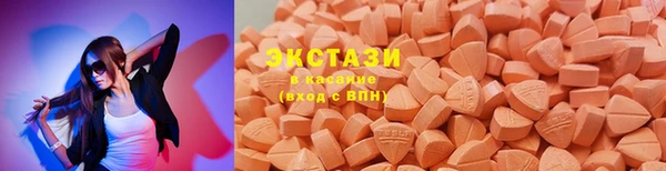 ECSTASY Бородино